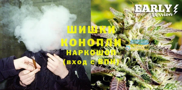 индика Остров