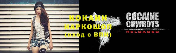 мдпв Осташков