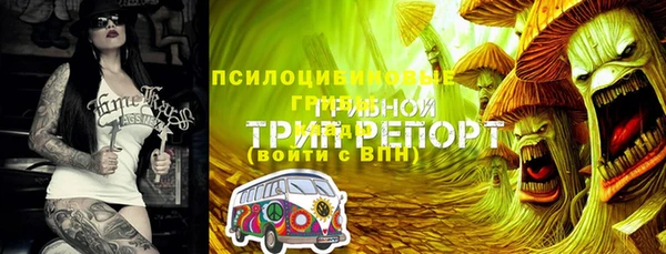 spice Пересвет